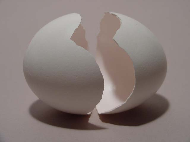 http://ponderingprinciples.com/wp-content/uploads/2009/03/empty-egg.bmp