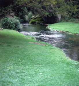 Plymouth-Town Brook