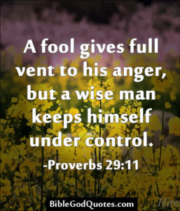 Proverbs 29